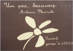 Logo Un Peu Beaucoup Fleuriste